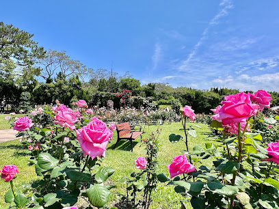 Rose Garden