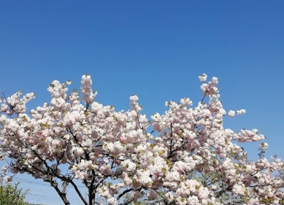 Tokiwa Park