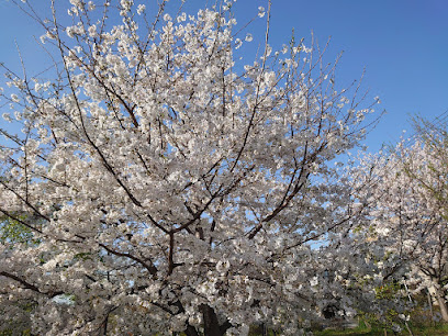 Narimune Sakura Park