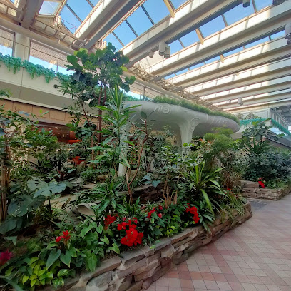 花の楽園
