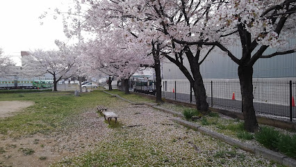 Fukushima Daiichi Park