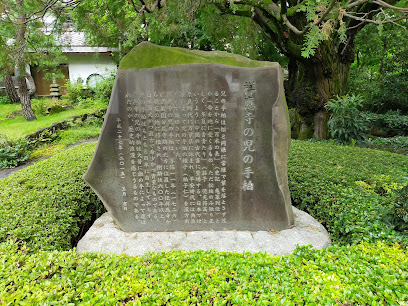 祥應寺のコノテガシワ