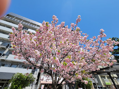 Kotobashi Park