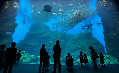 Sendai Umino-Mori Aquarium