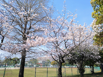 Hakozaki Park