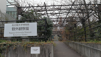 Nagoya University Museum Botanical Garden