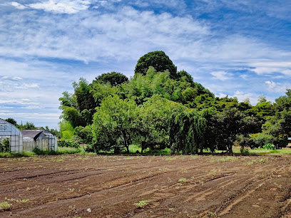 Kitamachihinoki Park