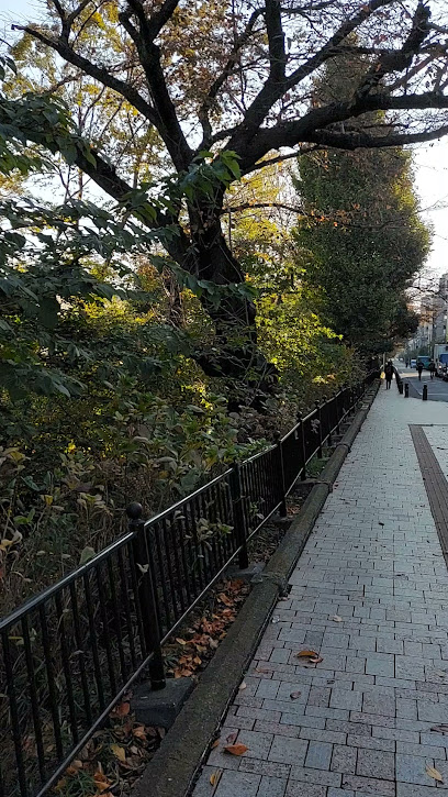 玉川上水 御殿山通り