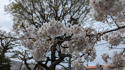 Kibōgaoka Naka Park