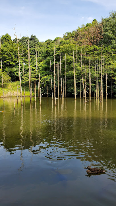 Oyamadairi Park