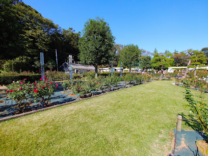 Ikuta Ryokuchi Rose Garden