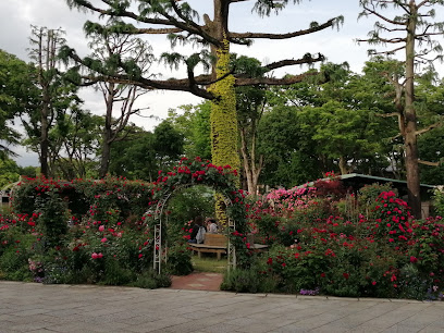 Rose Garden