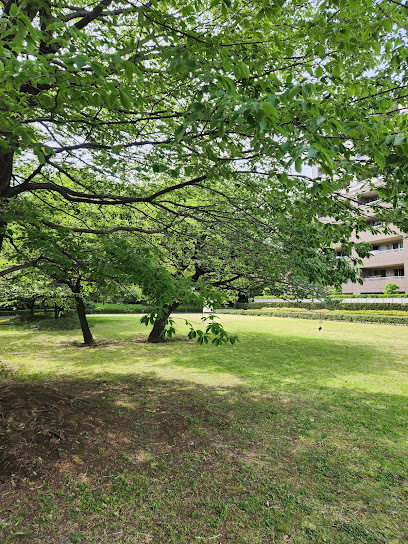 Site of Musashi Provincial Temple (Northeast Area)