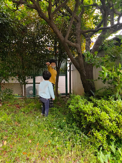 Higashitokuramokusei Park