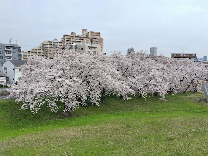 Yodogawa Riverside Park - Kema Area