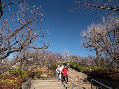 Plum Garden