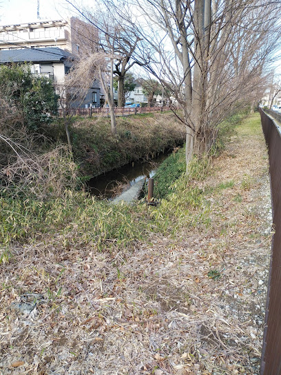 千川上水旧取水口跡