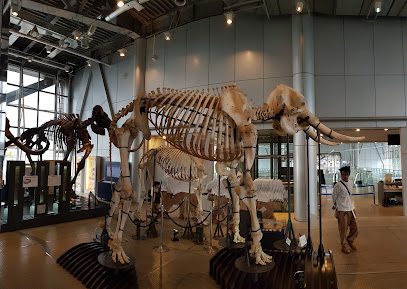 3M Sendai City Science Museum