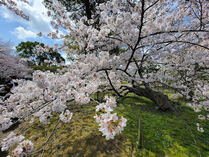 福岡城 本丸御殿跡