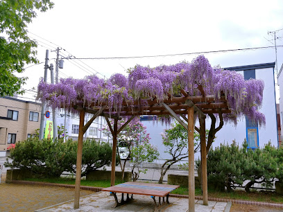 Kosai Yakumo Park