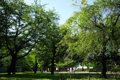 Dog Run