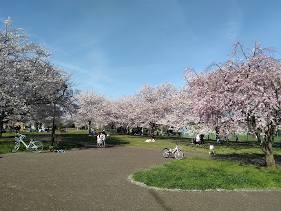 Johoku Central Park