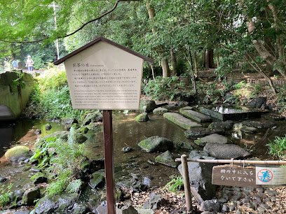 お茶の水
