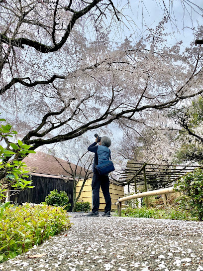 Hanazono