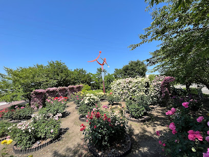 Rose Garden
