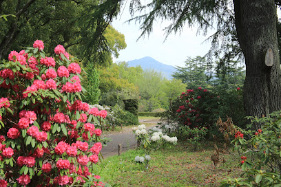 Western Rhododendron Garden