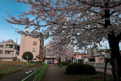Traffic Park