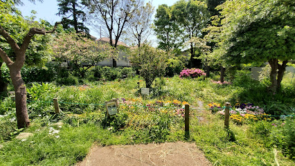 Zenpukuji River Flower Garden