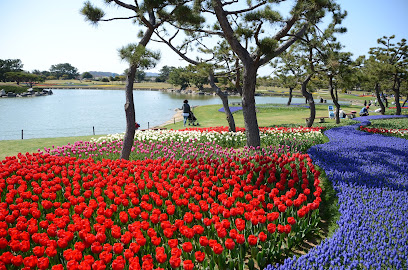 Uminonakamichi Seaside Park