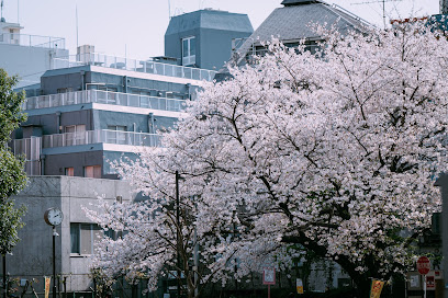 Sakuraoka Park