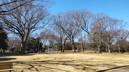 Hill Plaza