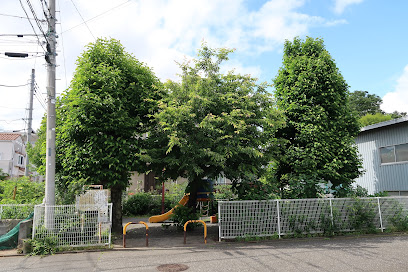 Namikicho Kobushi Park