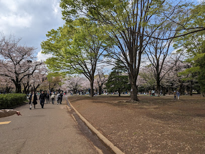 パノラマ広場