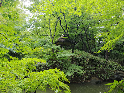 Tsutsujijaya