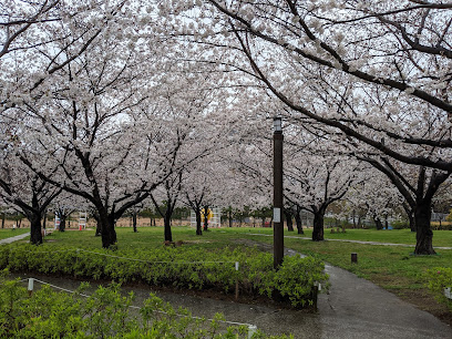Saigōgawa Kakou Park