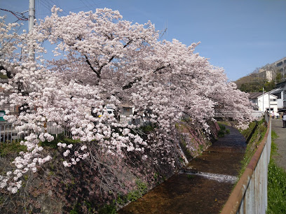 Ujigawa Park