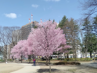 Nishikicho Park