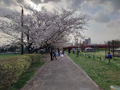 Igusamori Park
