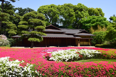 Ninomaru Grove