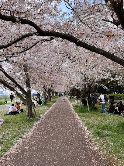 Shimomaruko Tamagawa Park