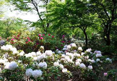 Rhododendron Garden