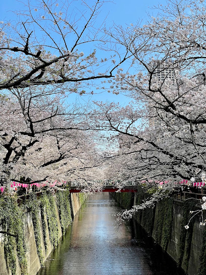 Naka-Meguro Park
