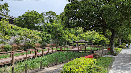 Iris Garden