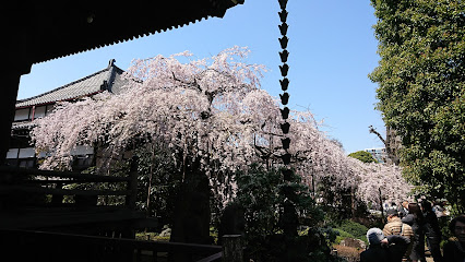 Central Park
