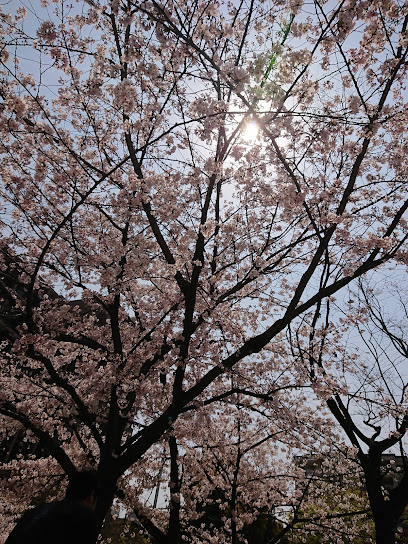 Takigawa Park