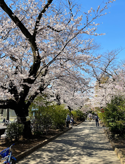 Nakano City Araiyakushi Park